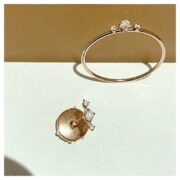 2022.03.24-stardust-ba-bo-nm_800x_crop_center