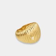 chevaliere-berlingot-or-jaune (1)