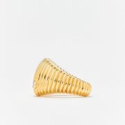 chevaliere-berlingot-or-jaune (2)