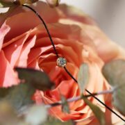 redline-pure-noir-diamond