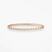 vanrycke-paris-elastique