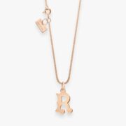 PA1R0-R2-lettrine-or-rose-4